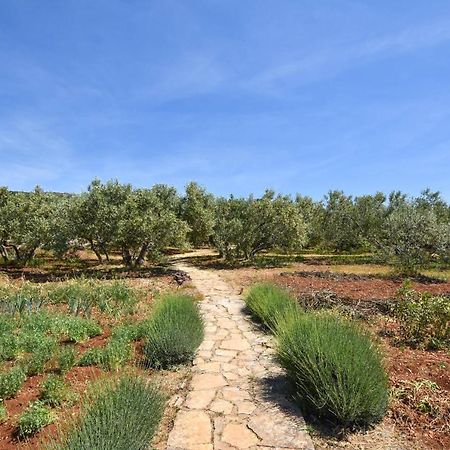 House Oliva Villa Tkon Exterior photo