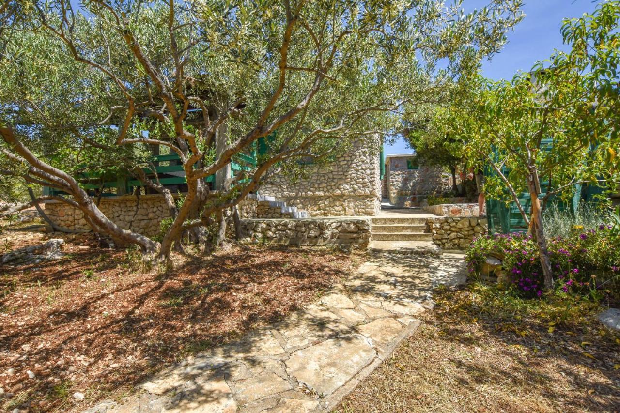 House Oliva Villa Tkon Exterior photo